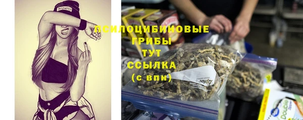 spice Алзамай