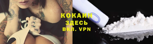 spice Алзамай