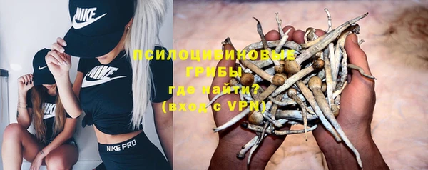 соль курить ск Алексеевка