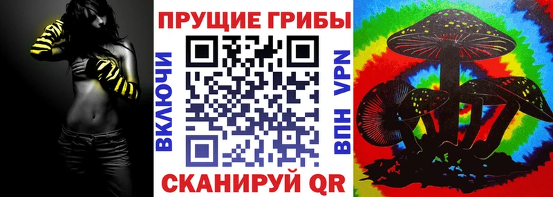 Галлюциногенные грибы Psilocybine cubensis  Алапаевск 